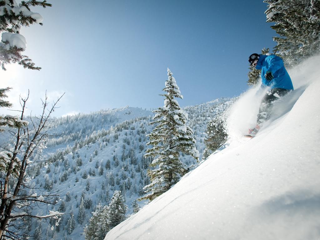 Panorama Mountain Resort - Ski Tip / Tamarack Condos Exteriör bild